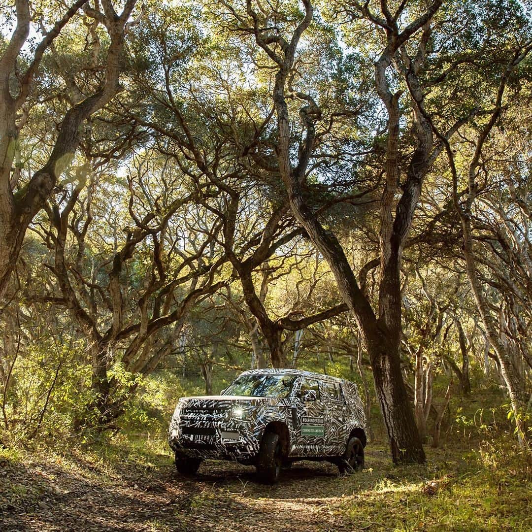 Land Roverさんのインスタグラム写真 - (Land RoverInstagram)「New #LandRover #Defender has been tested across the world, including much of the USA - can you identify this off-road testing location? Tap the link in our bio to stay informed.  #TeamDefender #LandRoverDefender #NewDefender #Best4x4xFar #OffRoad #4x4 #Testing #Carsofinstagram #Instacar #SUV #CarLifestyle #Adventure #Adventuring #USA」7月21日 19時00分 - landrover