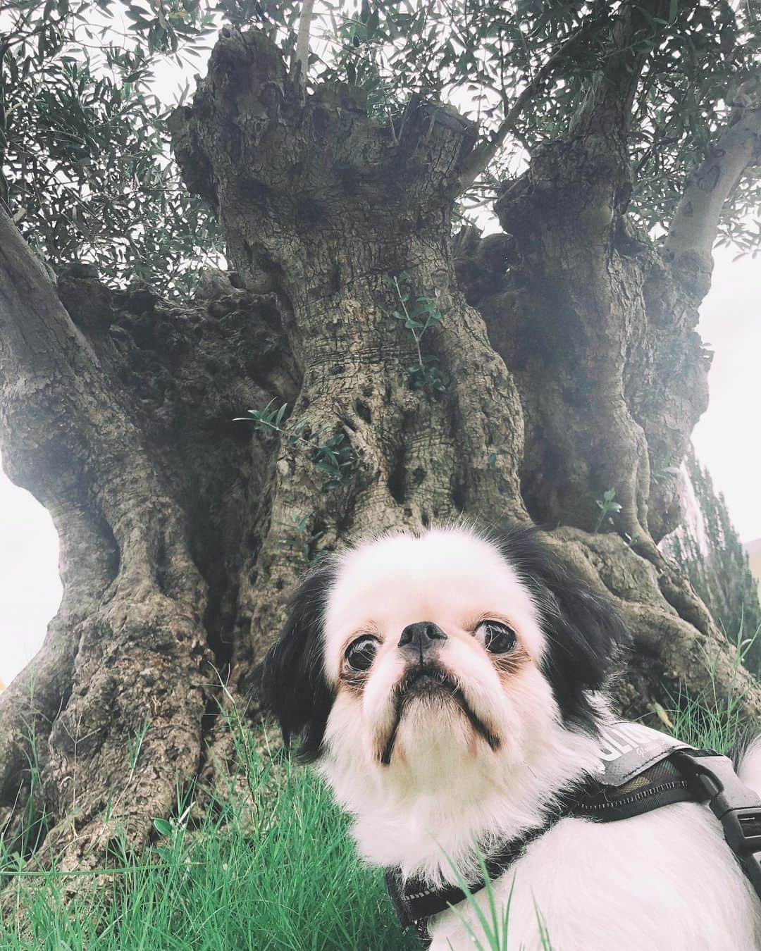 juntowaのグルメインスタ