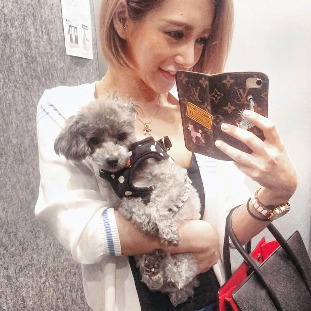 冴木エリカのインスタグラム：「﻿ ﻿ わかめらぶ🐩💕﻿ ﻿ 毎日毎日本当時間が足りないなぁ﻿ でもゆっくり１つずつ丁寧に進めるように﻿ また明日から頑張ろっと。﻿ ﻿ ﻿ ﻿ ﻿ ﻿ ﻿ ﻿ ﻿ ﻿ ﻿ ﻿ ﻿ ﻿ ﻿ ﻿ ﻿ ﻿ ﻿ ﻿ ﻿ ﻿ ﻿ ﻿ ﻿ ﻿ ﻿ ﻿ ﻿ ﻿ ﻿ ﻿ ﻿ ﻿ #時間は有限であり最大の資産﻿ #時間が足りない#夢は無限﻿ #出来ることを全力で#負けないこと﻿ #六本木#ルーベル#ルーベル六本木﻿ #キャバ嬢#キャバクラ#happy﻿ #愛犬#ティーカッププードル﻿ ﻿」