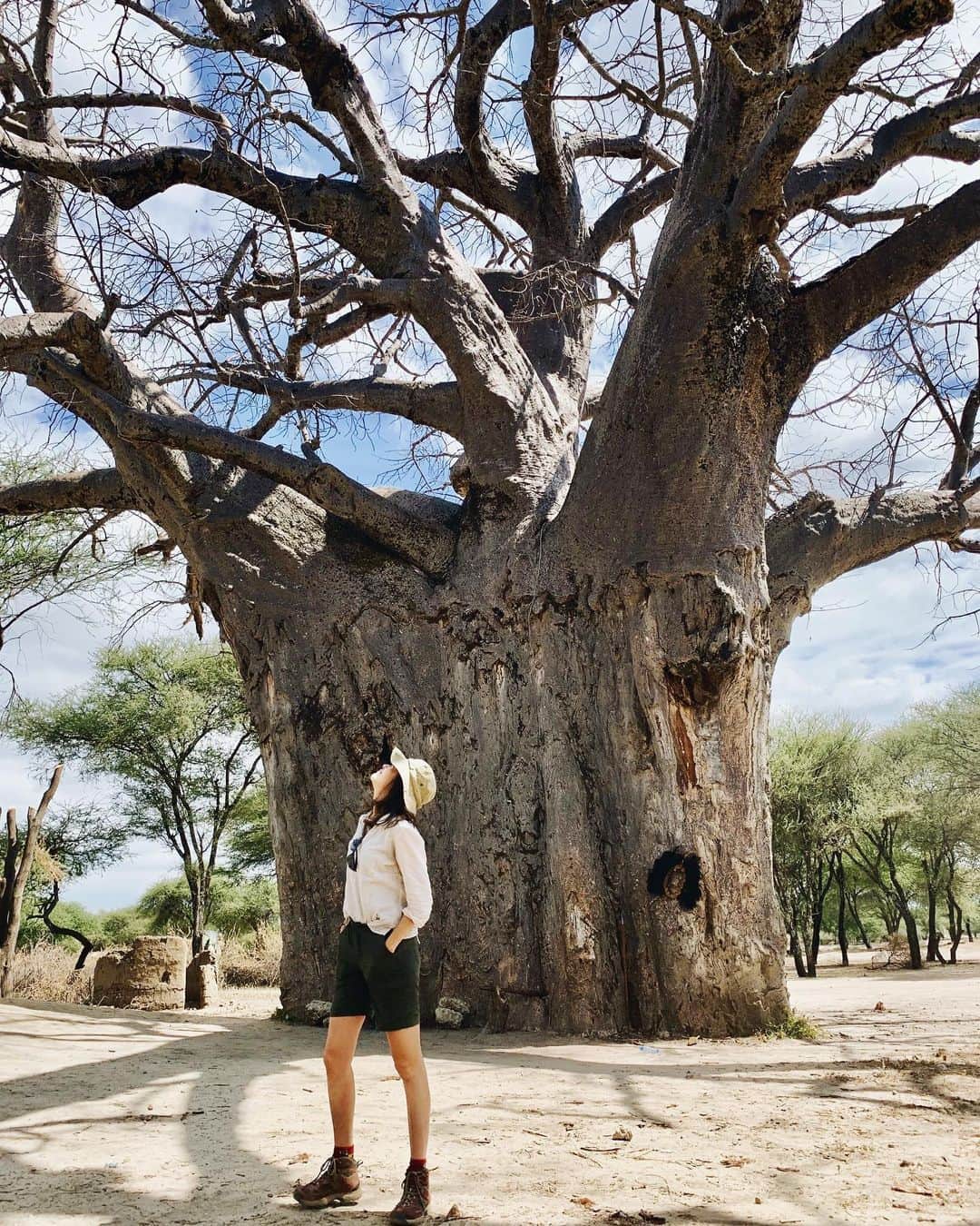 香華（KOuKA）のインスタグラム：「BAOBAB ❤️ It’s strange to think that after years of putting the citrusy powder in my porridge, I never once thought of where it may come from! Baobab is a rich natural source of vitamin C which also has the benefit of increasing the body’s absorption of iron. It contains the highest antioxidant content of any fruit and I always notice improvements in my skin after eating it!  #nutritionstudent #nutritionnerd #baobabtree #baobab #バオバブ #バオバブの木 #koukatravels」