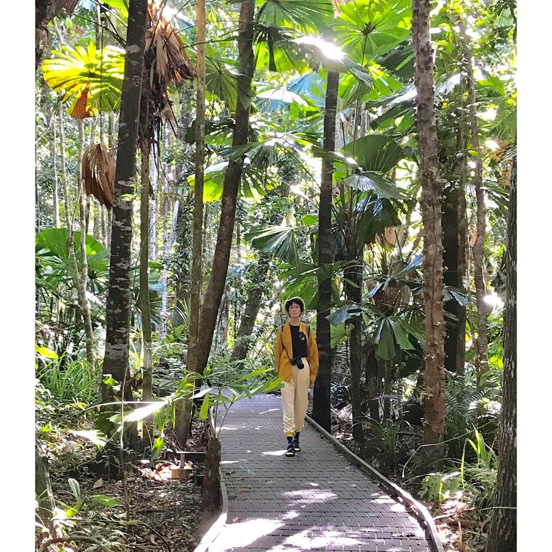 のインスタグラム：「毎日を味わってると﻿ あっという間に時が経つな﻿ ﻿ この夏は貴重な経験をしてるなって感じる﻿ ﻿ Netflix のChasing Coralをみて﻿ オーストラリアのグレードバリアリーフをみてきたの﻿ 日本と同じくらい広くて長いサンゴ礁、世界最大。﻿ ﻿ 海温上昇で世界の半分ほどのサンゴ礁が死んでしまってるなか、海の中の美しさを知れるのは今のうちなんだなって気がついたの。こんなに鮮やかでにぎやかな世界が海の中にあったこと知れて本当によかった！﻿ ﻿ あと、古代恐竜時代から存在し続けてるジャングルもみてきたよ。﻿ 恐竜が絶滅しても自然が残った場所があるのってすごいな。﻿ ﻿ #thegreatbarrierreef #chasingcoral」