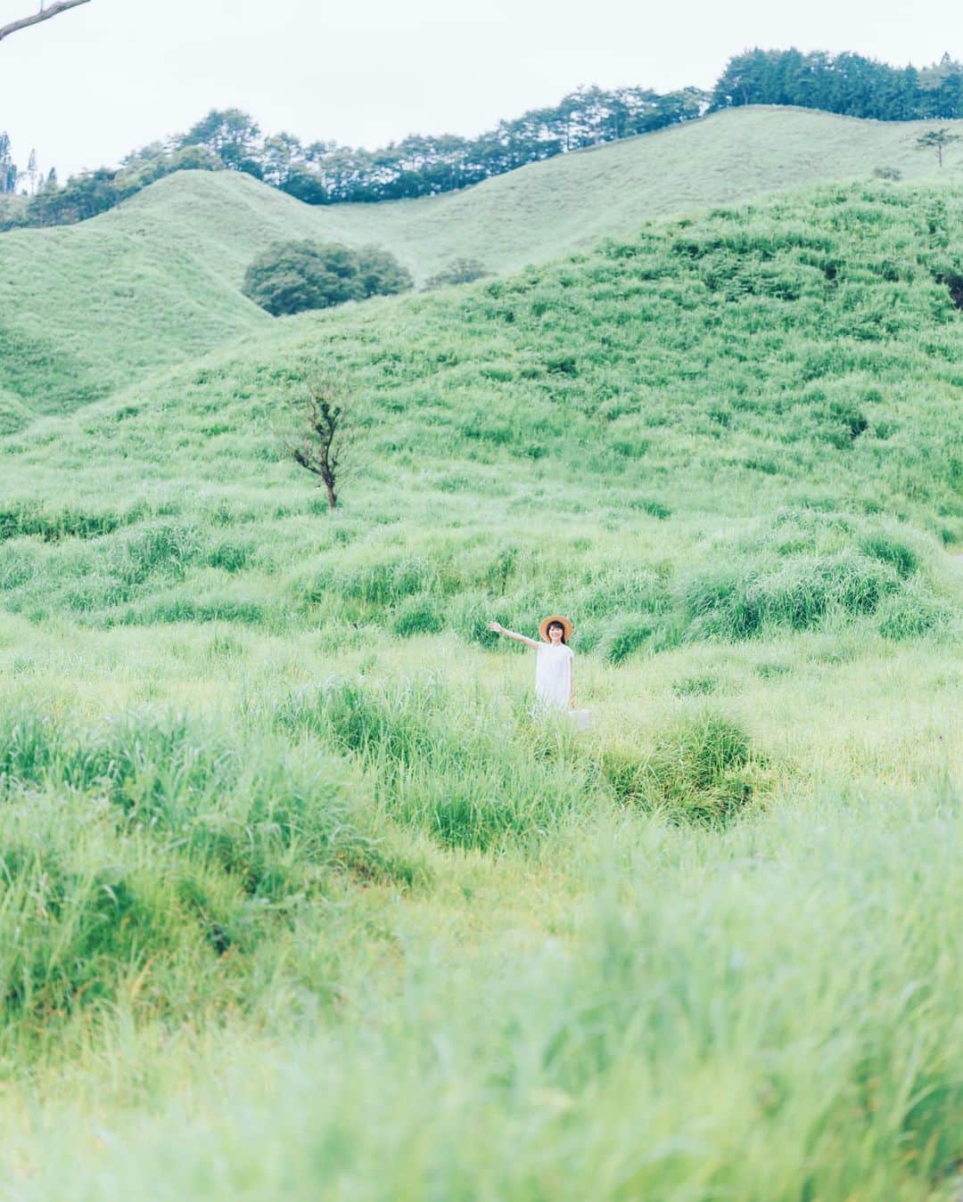 sorayuchiのインスタグラム：「greenだよー🌿 ・ 我が家の芝生もこれくらいワサワサしてきたので刈りました◎☺︎スッキリ✨」