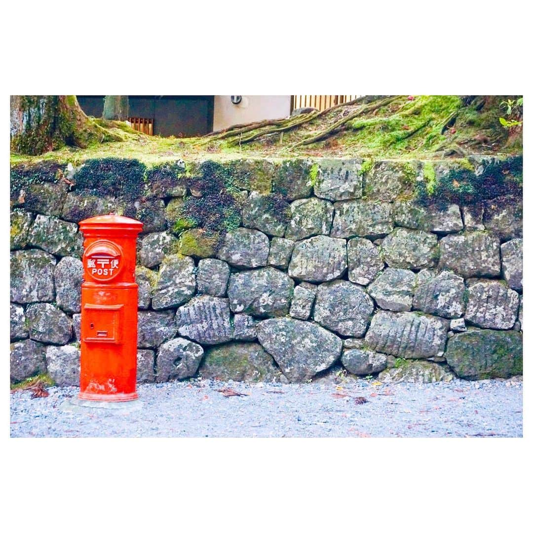 小林由佳さんのインスタグラム写真 - (小林由佳Instagram)「O DE KA KE😋 ・ ・ JAPAN🇯🇵🌳 ・ ・」7月21日 20時52分 - yuca_tan