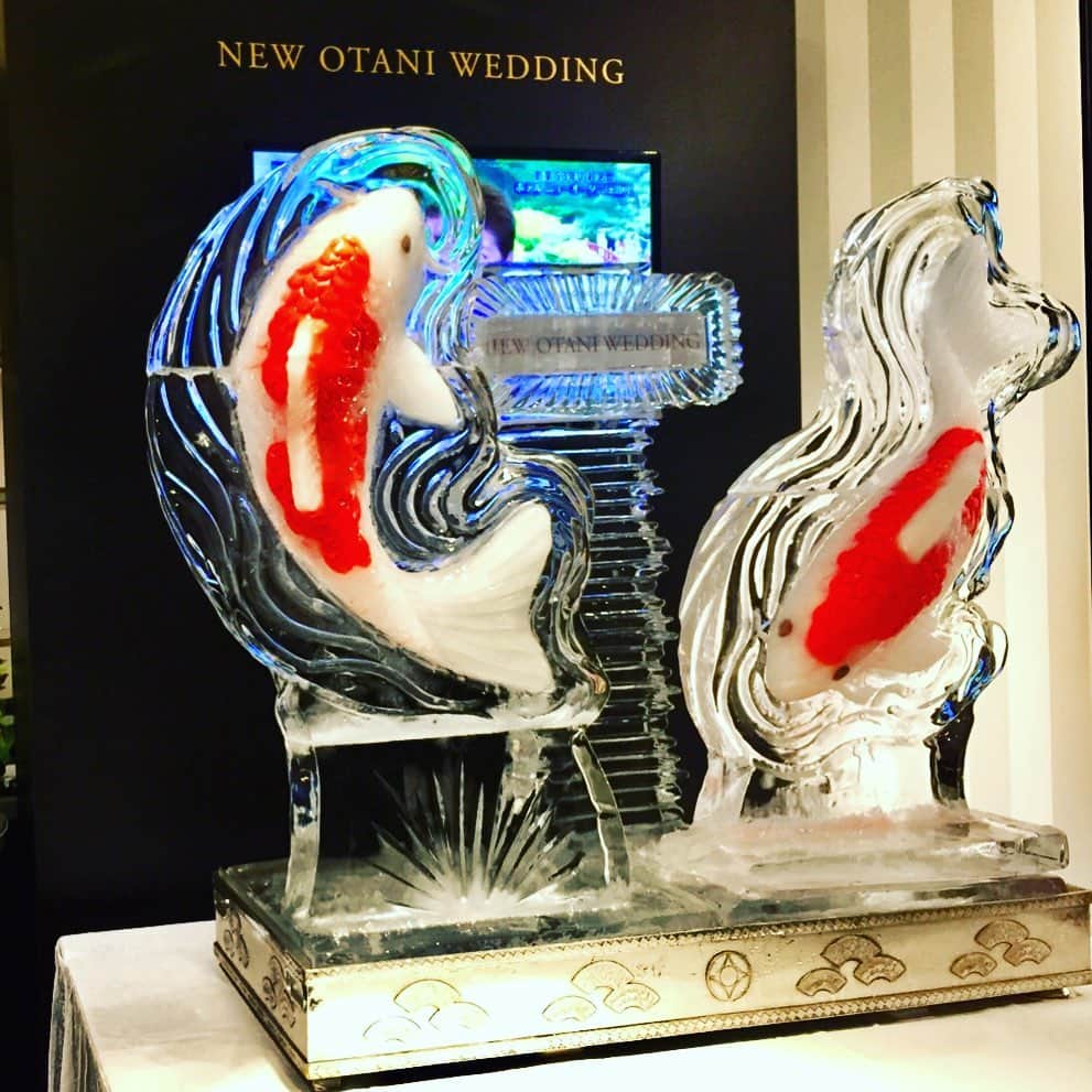 ホテル ニューオータニさんのインスタグラム写真 - (ホテル ニューオータニInstagram)「A challenging work of ice sculpture by Kouichi Hirata, Hotel New Otani Tokyo’s Ice Sculptor.  ホテルニューオータニ氷彫刻室長 平田浩一による、渾身の作品。鯉の躍動感を氷彫刻で表現しました。  #氷彫刻 #氷のアート #アート #鯉 #作品 #ニューオータニウエディング #赤坂 #ホテルニューオータニ #icesculpture #icesculpting #icesculptor #art #artist #carp #akasaka#forbestravelguide #SummerStars @hotelnewotanitokyo」7月21日 21時06分 - hotelnewotanitokyo