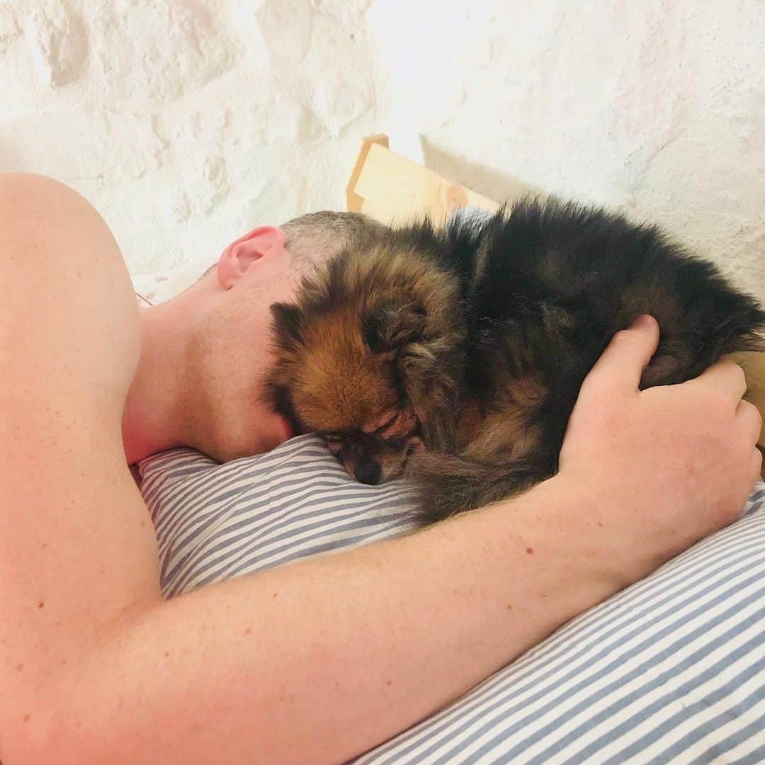 ハミッシュ・ゲイマンさんのインスタグラム写真 - (ハミッシュ・ゲイマンInstagram)「The best way to start any day, cuddled up with one of my little treasures @littlelionpom 🥰  What’s your favourite way to start the day? ⠀⠀⠀⠀⠀⠀⠀⠀⠀⠀⠀⠀ ⠀⠀⠀⠀⠀⠀⠀⠀⠀⠀⠀⠀ ⠀⠀⠀⠀⠀⠀⠀⠀⠀⠀⠀⠀ 📷 @ameliahumfress snapping us while we slept this morning. ⠀⠀⠀⠀⠀⠀⠀⠀⠀⠀⠀⠀ ⠀⠀⠀⠀⠀⠀⠀⠀⠀⠀⠀⠀ ⠀⠀⠀⠀⠀ #pomeranianlove #lovethydog #sleepinggiant」7月21日 21時01分 - hamishgaman