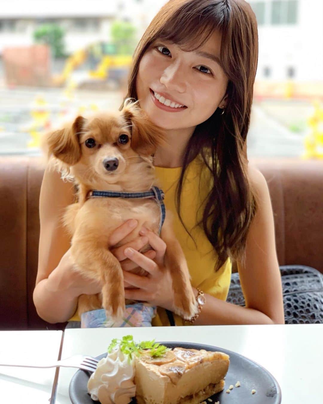 村上奈菜さんのインスタグラム写真 - (村上奈菜Instagram)「ルゥはもうすぐ10ヶ月🐶❤︎ あっという間に大きくなったな〜😆 . #チワックス #犬好き #いぬのいる暮らし」7月21日 21時11分 - murakami__nana