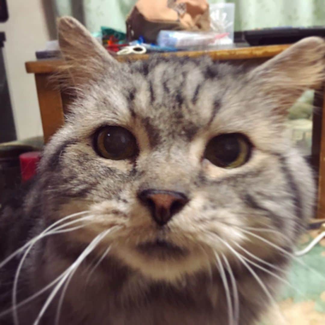 奥山レイカのインスタグラム