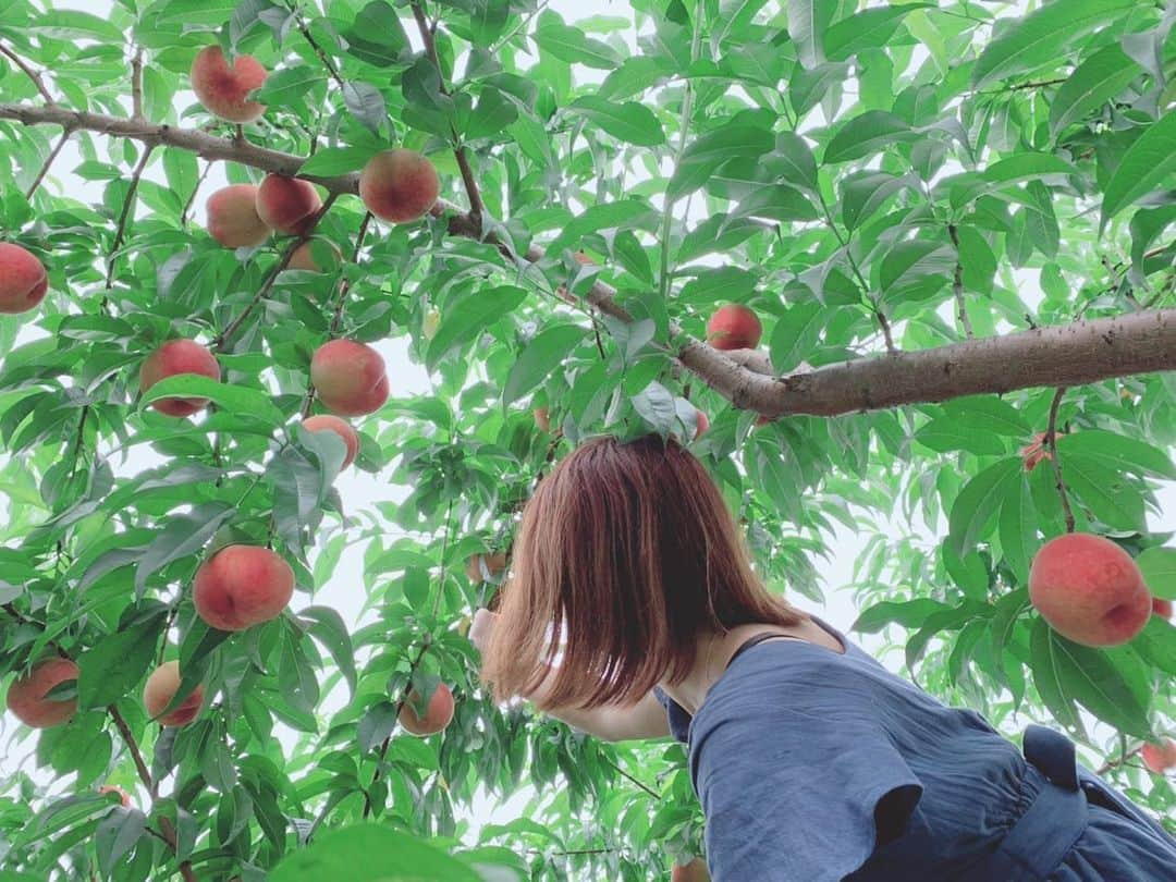 古川真奈美さんのインスタグラム写真 - (古川真奈美Instagram)「.﻿ .﻿ えみちんと、もも狩り🍑してきた😇💓﻿ もも狩りは初めて＼(^o^)／﻿ 他にもきゅうりとか茄子トマト🍅🍆たちの野菜狩りもした(´∀｀)✨﻿ ﻿ なんか色々行って疲れたww﻿ けど、めっちゃ楽しかったー！！﻿ ﻿ ﻿ #もも狩り  #野菜狩り ﻿ #instagood  #instadiary ﻿ #instalike #instamood ﻿ #ow #instapic #instaphoto﻿ #girl　#follow #followme  #gravure  #japanesegirl  #selfies  #インスタグラビア﻿ ﻿」7月21日 21時28分 - mana_0619