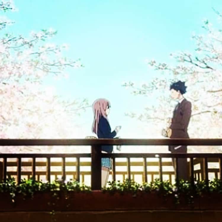 のインスタグラム：「#聲の形 大好きな名作。 #京都アニメーション 作品  去年の夏休み、 金沢のホテル、 有料チャンネル。  偶然見つけて 子どもたちと 夢中になって 見入った映画。  帰ってきてからも 何度も何度もみて、 思い思いに 感じ合った。  感じたこと、 語り合った。  子どもたちと、 アニメを通して 語り合える経験は、 何よりの思い出であり、 #生きること について 考えさせられる貴重な 勉強です。  今回の大事件... ずっとずっと 胸を痛めています。  物語がどんなに 人の人生を 豊かにするか...。 物語に胸を奪われた ご自身の経験から、 磨いてきた才能を 日々新たな物語に 注いで こられた方々が... そう思うと... 胸の痛みのやり場に ...途方に暮れます。  亡くなられた方々の ご冥福をお祈りすると ともに、 今も病院で手当てを うけている方々の 1日も早い回復を お祈りします。  #こえのかたち  素晴らしい作品です。 #学校 #いじめ #障がい #手話 #恋 #愛 #友達 #仲間 #家族  きれいごとじゃないリアルが、 とても繊細に描かれていて、 #親子 で是非観て頂きたいです。」