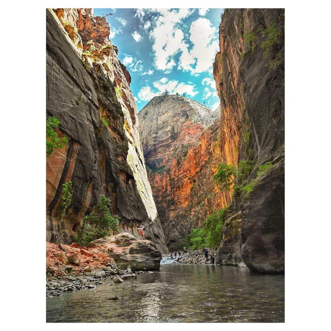 シャンテル・ヴァンサンテンさんのインスタグラム写真 - (シャンテル・ヴァンサンテンInstagram)「I’ve dreamed of hiking the Narrows. It’s been on my bucket list for a long time. I found myself smiling so big... in awe of the light bouncing off the towering walls, the water flowing around me which carved these canyons and natures creation unfolding around every bend. If you are in #ZionNationalPark GO DO THE NARROWS!!!!」7月21日 21時52分 - therealshantel