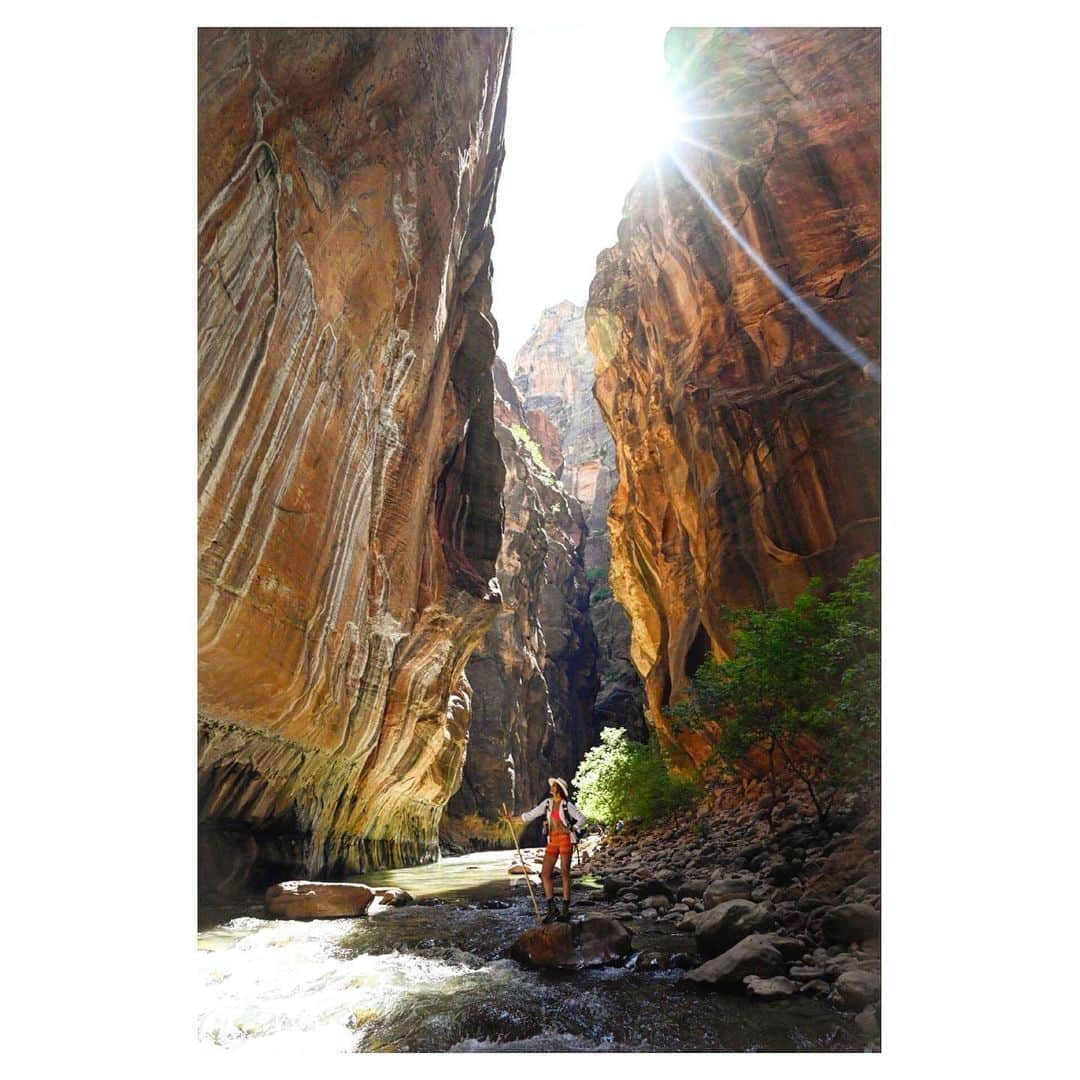 シャンテル・ヴァンサンテンさんのインスタグラム写真 - (シャンテル・ヴァンサンテンInstagram)「I’ve dreamed of hiking the Narrows. It’s been on my bucket list for a long time. I found myself smiling so big... in awe of the light bouncing off the towering walls, the water flowing around me which carved these canyons and natures creation unfolding around every bend. If you are in #ZionNationalPark GO DO THE NARROWS!!!!」7月21日 21時52分 - therealshantel