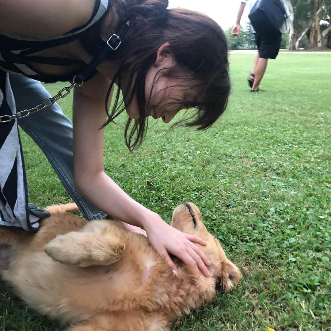 小倉優香さんのインスタグラム写真 - (小倉優香Instagram)「Mr.サンバ！  #犬 #じゃじゃ馬 #小倉優香 #写真集 #オフショット #ブエノスアイレス」7月21日 21時57分 - ogurayuka_official