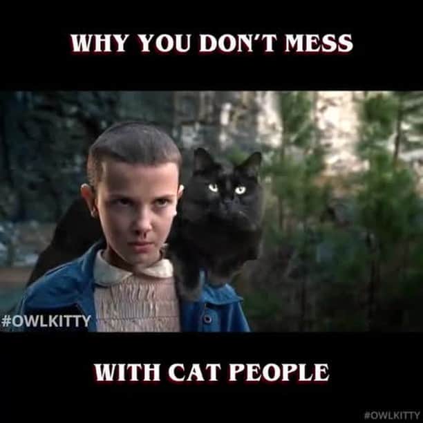 のインスタグラム：「Eleven and OwlKitty would make a great team 💪⠀ ⠀ 🖥@owl__kitty⠀ ⠀ #meowed #owlkitty #blackcat #ragdoll #lizzy #adoptdontshop #strangerthings @netflix @milliebobbybrown @theellenshow」
