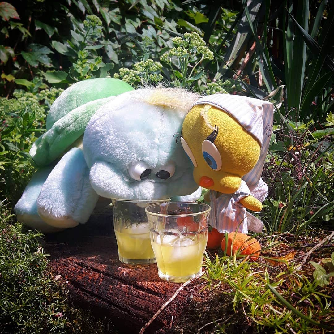 Little Yellow Birdさんのインスタグラム写真 - (Little Yellow BirdInstagram)「I know Jodocus, I know!! I love limoncello as much as you do, but you need to slow down!! Or you'll be one hungover turtle tomorrow... #littleyellowbird #tweety #tweetykweelapis #adventures #yellow #bird #jodocus #greenturtle #weekend #sunday #limoncello #garden #slowdown #happyhour #fun #sun #drinks #walcher #stuffedanimalsofinstagram #plushiesofinstagram」7月21日 22時44分 - tweetykweelapis