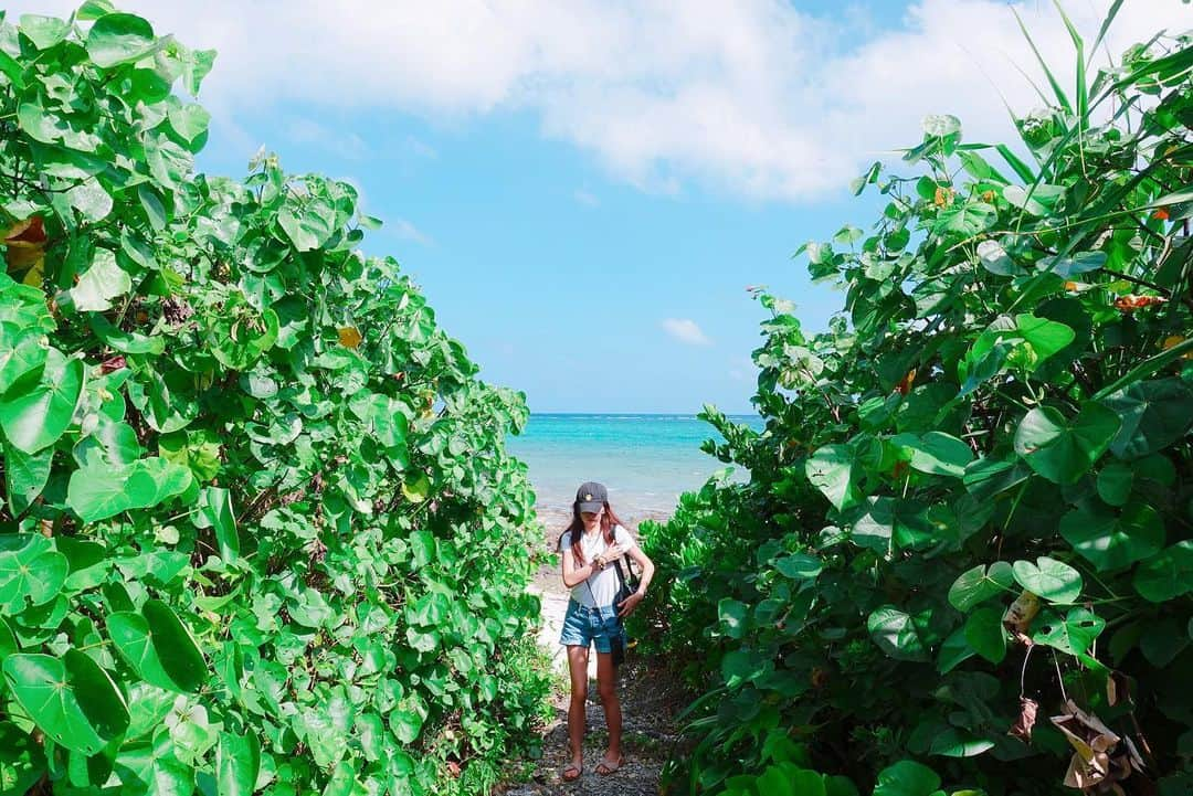 志摩夕里加のインスタグラム