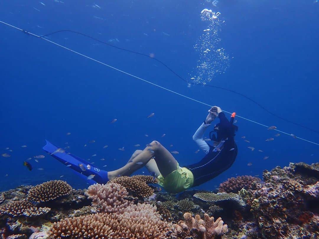 寺島速人さんのインスタグラム写真 - (寺島速人Instagram)「サンゴには掛けるなよ！アンカー！ Protect the sea」7月21日 23時38分 - hayato_terashima