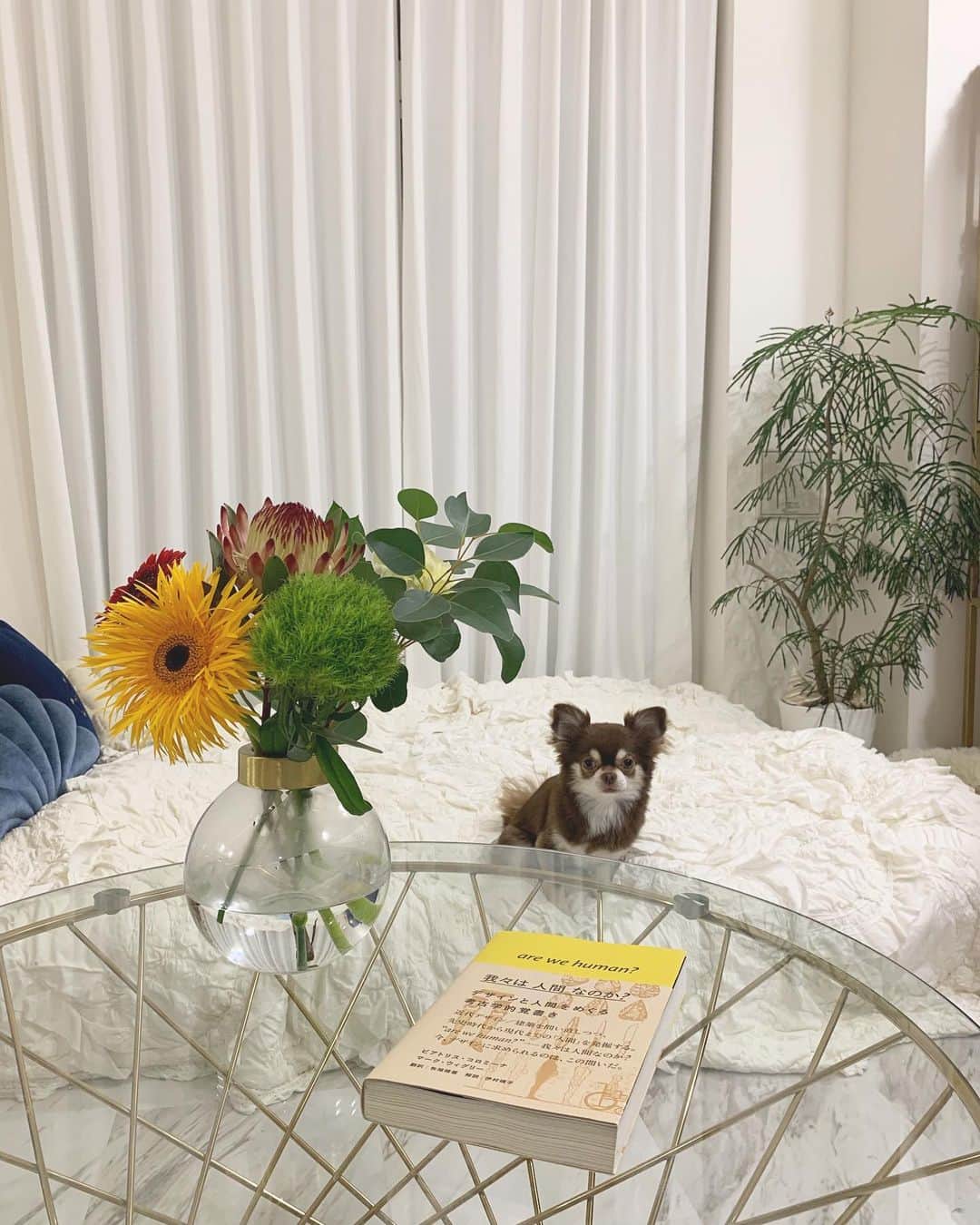Tomomi Teradaのインスタグラム