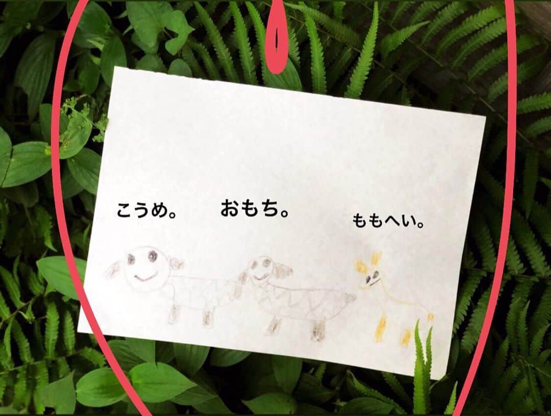 スザンヌさんのインスタグラム写真 - (スザンヌInstagram)「@kaisuishu_yuka ﻿ @kaisuishu の﻿ 抹茶のカキ氷🍧💚と﻿ ﻿ 息子が描いた﻿ こうめとおもちとももへい﻿ 🐶🐶🐕﻿ ﻿」7月22日 0時24分 - suzanneeee1028