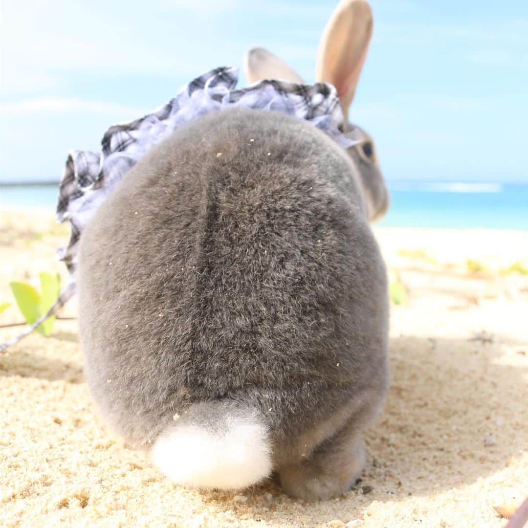 Kayoのインスタグラム：「◽️さくおちり◽️ そしてもちろん微笑む魅惑の十文字♡」