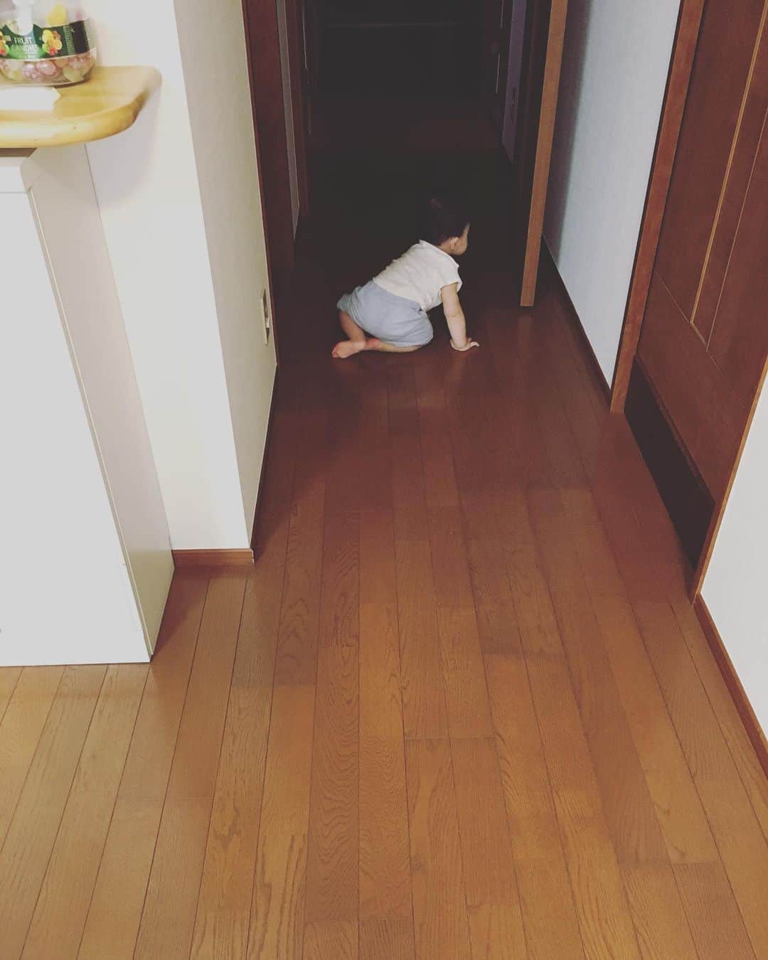 百千糸のインスタグラム：「ハイハイがようやくできるようになり息子の世界観が一気に広がりました。 気付けばあちこち探検。楽しいね^_^」