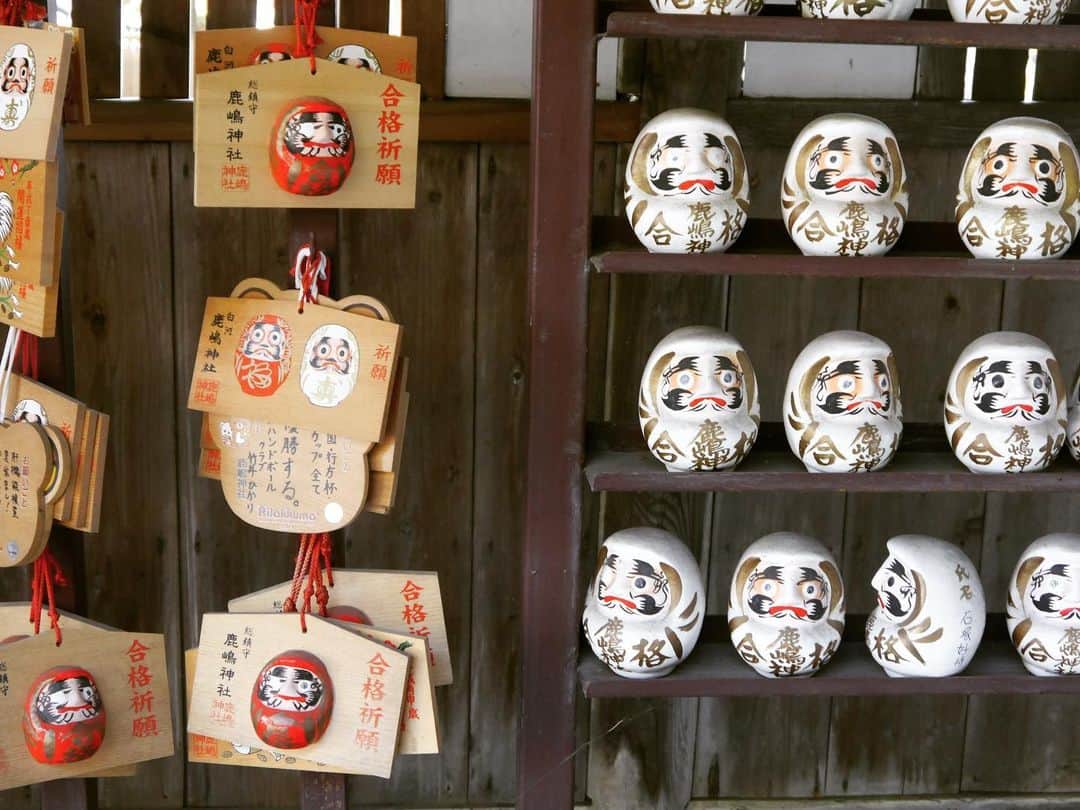 のインスタグラム：「Very cute shrine in Shirakawa City complete with daruma ema prayer boards」