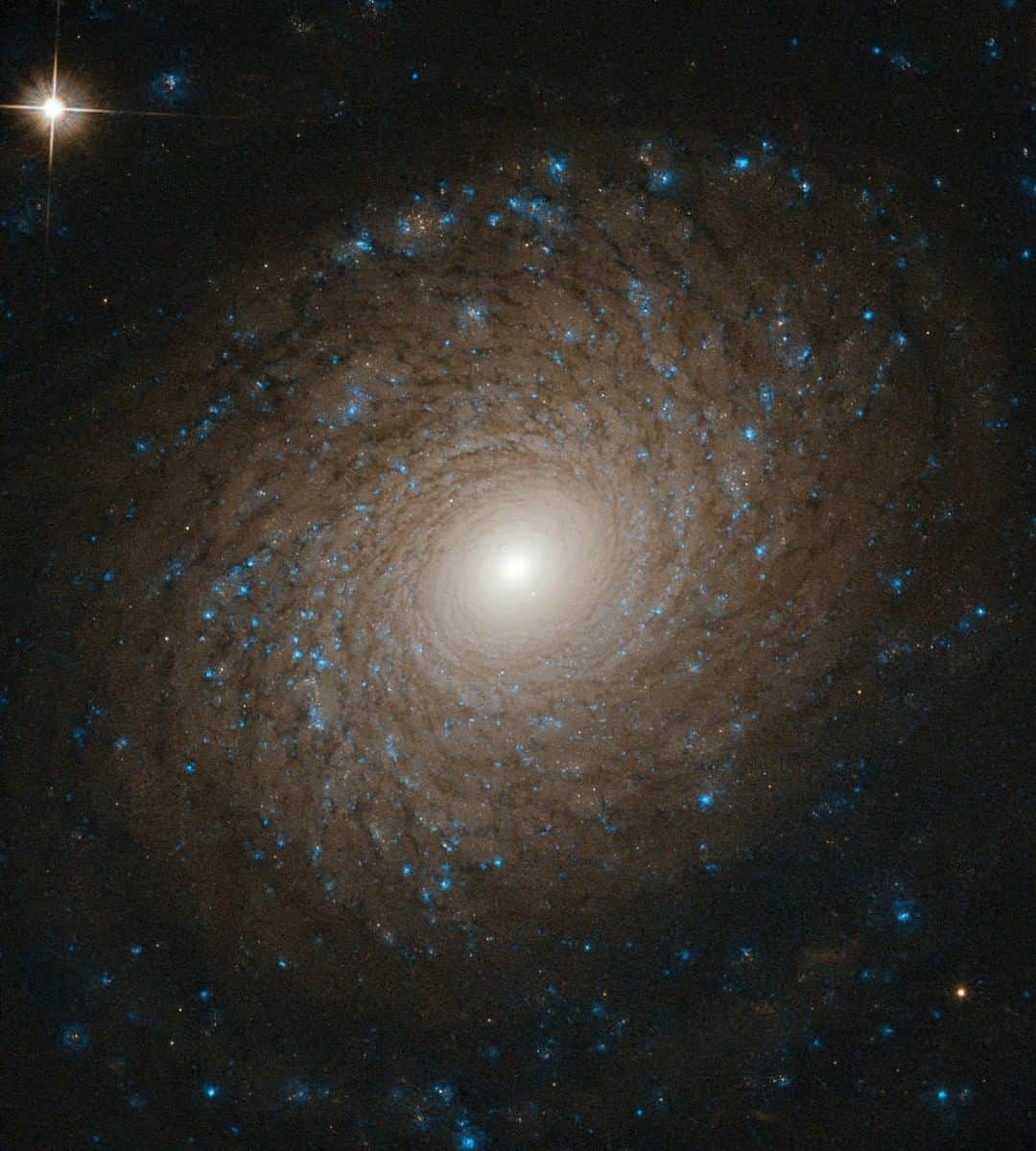 NASAさんのインスタグラム写真 - (NASAInstagram)「Galaxies come in many shapes and sizes. One of the key galaxy types we see in the universe is the spiral galaxy, as demonstrated in an especially beautiful way by the subject of this @NASAHubble image, NGC 2985. NGC 2985 lies over 70 million light-years from the solar system in the constellation of Ursa Major (the Great Bear). The intricate, near-perfect symmetry on display here reveals the incredible complexity of NGC 2985. Multiple tightly wound spiral arms widen as they whirl outward from the galaxy’s bright core, slowly fading and dissipating until these majestic structures disappear into the emptiness of intergalactic space, bringing a beautiful end to their starry splendor.  Over eons, spiral galaxies tend to run into other galaxies, often resulting in mergers. These coalescing events scramble the winding structures of the original galaxies, smoothing and rounding their shape. These objects possess a beauty all their own, distinct from the spiral galaxies from whence they came.  Image credit: ESA/Hubble & NASA, L. Ho」7月22日 3時00分 - nasagoddard