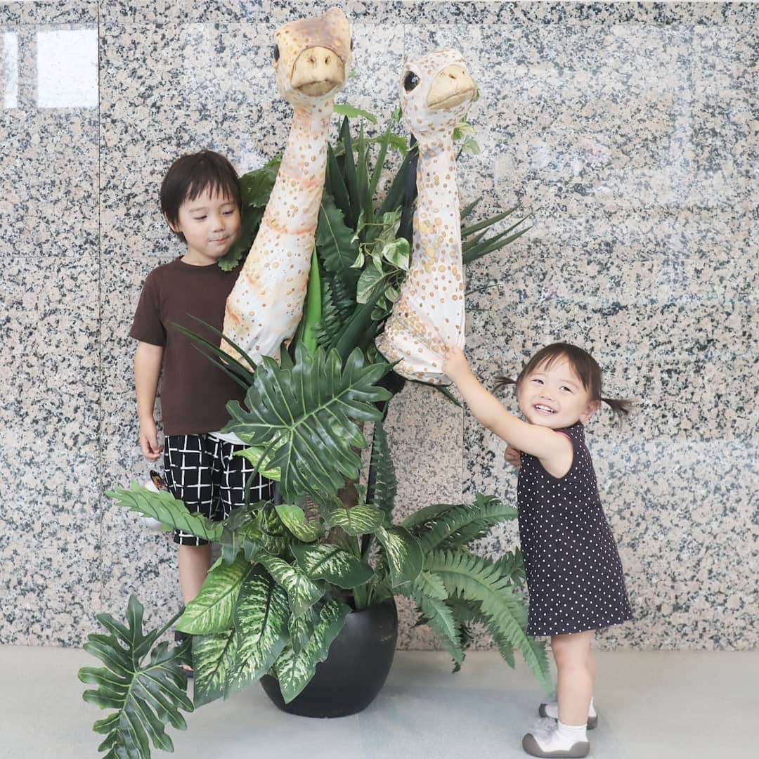 Eri Satoのインスタグラム：「【恐竜どうぶつ園⚡】 · 去年、息子が大興奮し、楽しみにしていた #恐竜どうぶつ園 へ、今年も行ってきました · 全国各地で、リアルな恐竜のパペットを使ったショーが開催されていますよ♪ · ティラノサウルスはもちろん、今年はフクイラプトルも出演✨ 選ばれると舞台にあげてもらえて恐竜と触れ合えるのですが、今年はなんと息子もあがっちゃいました😁✨良かったね！！ · 上がれなくても、終演後はロビーで、恐竜の赤ちゃんパペットに触れます✨ 本物みたいで娘もドキドキ💕 · 開演前に、公式グッズの紹介動画が流れていたのですが、今回息子がそちらのモデルをやらせて頂きました😂✨ スタッフの皆さま本当にありがとうございました！！ ちなみに息子のオススメは映像でも出ている恐竜の卵。 もちろん買いました···😂w Tシャツやぬいぐるみも可愛かったです！！ 行かれる方はぜひグッズもチェックしてみてください💕 · 恐竜好きな子をもつパパママの皆様、夏休みにおすすめですよー！ · 恐竜どうぶつ園 👉 @dinosaurzoo_jp · #会場にいる男の子たちのTシャツに注目 #恐竜柄率の高さ #恐竜#パペット#男の子ママ#女の子ママ#きょうだいママ#夏休み#イベント#恐竜ショー#ティラノサウルス#フクイラプトル#子連れお出かけ#子どもとお出かけ#夏休みの思い出」