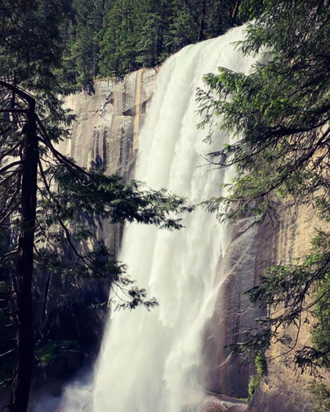 イヴさんのインスタグラム写真 - (イヴInstagram)「#yosemite 🌲❤️ #motherearth #coopergirls」7月22日 4時18分 - therealeve