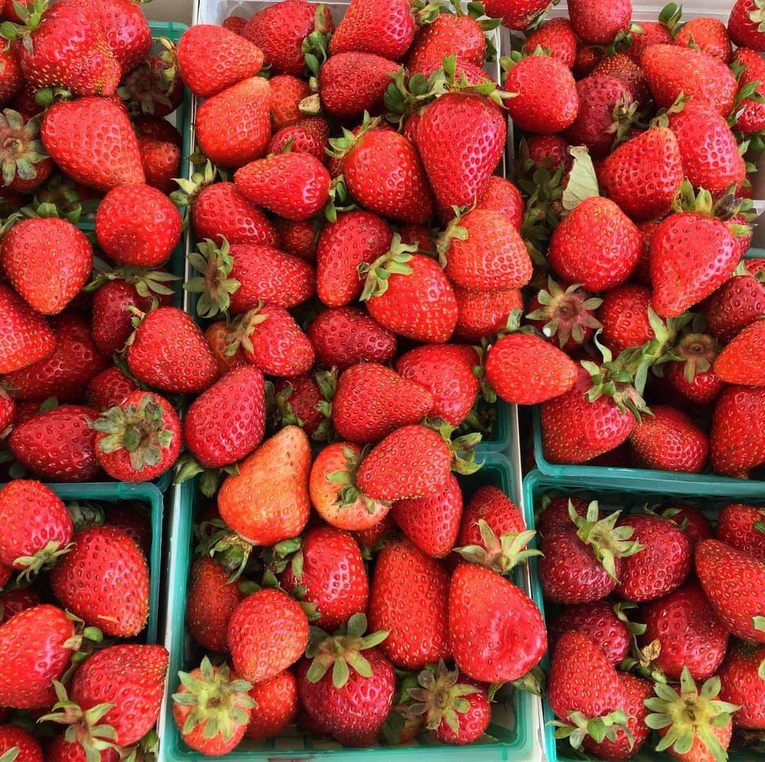 カミーラ・ベルさんのインスタグラム写真 - (カミーラ・ベルInstagram)「‘Tis the season 🍓 #felizdomingo #feira #morango #happysunday #farmersmarket #strawberry」7月22日 4時53分 - camillabelle