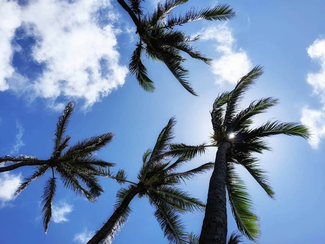 マヌ・ジノビリのインスタグラム：「Peace! / Paz! 🌴」