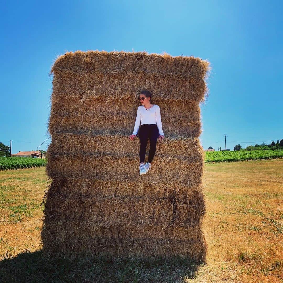 メアリー・マコーマックのインスタグラム：「Rose. Through and through.  #france」