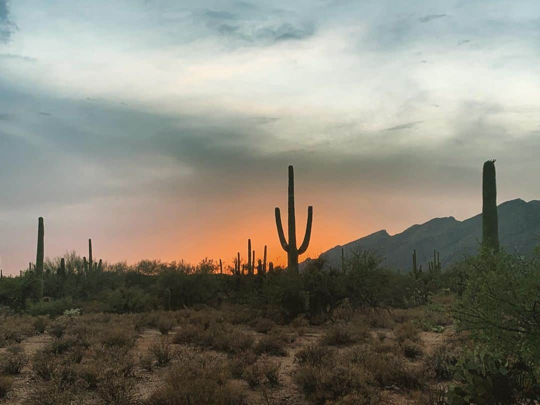 ショーン・レノンさんのインスタグラム写真 - (ショーン・レノンInstagram)「Get back to where you once belonged. #Tuscon」7月22日 11時50分 - sean_ono_lennon