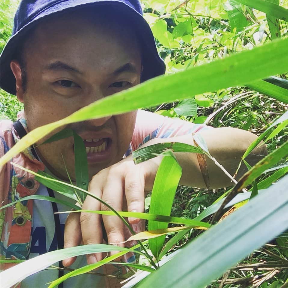 月亭太遊さんのインスタグラム写真 - (月亭太遊Instagram)「わりと近場で秘境感でました。  #三朝温泉 #三朝バイオリン美術館 近く  #三朝 #自然 #comedy #comedian #forest  #japan」7月22日 11時51分 - taiyuexpo2025