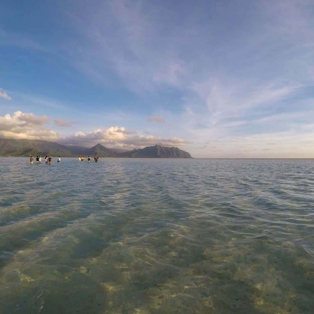 Luxury Cruise by Captain Bruceさんのインスタグラム写真 - (Luxury Cruise by Captain BruceInstagram)「朝一番の天国の海：）⁠ ⁠ #captainbruce #sandbar #kaneohe #hawaii #oahu #oahulife #ahuolaka #niceandrelaxing #sunrise #goodmorning #ohayo #キャプテンブルース #天国の海ツアー #天国の海 #アフオラカ #おはよう#ハワイ大好き #絶景 #海」7月22日 7時00分 - cptbruce_hi