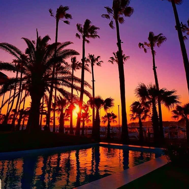 リストランテAO[公式]?イタリアン(青山店/逗子店)のグルメインスタ