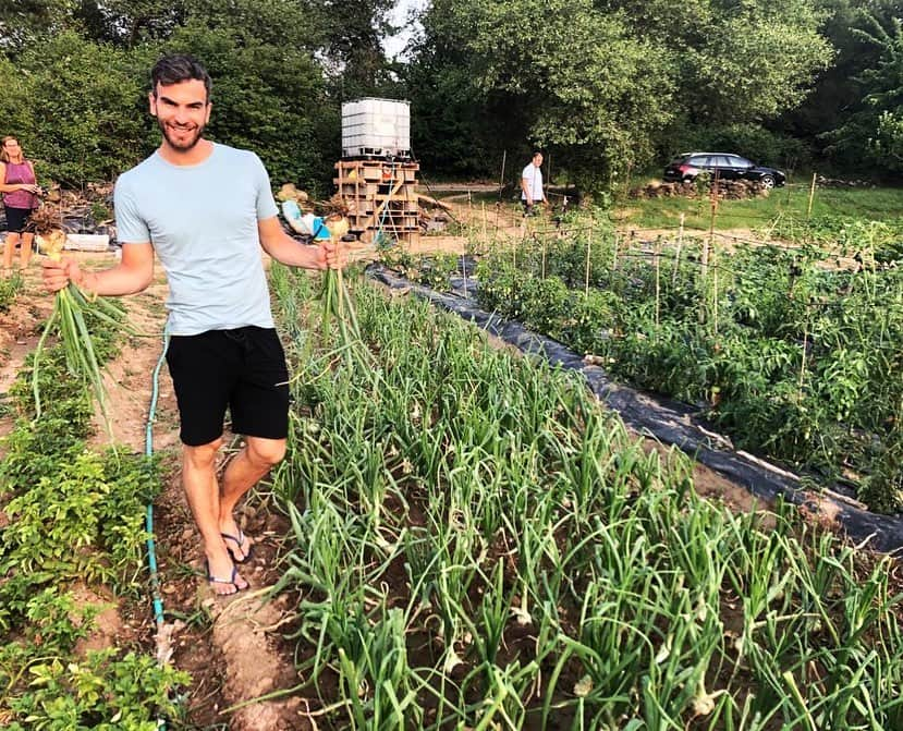 エリック・ラドフォードさんのインスタグラム写真 - (エリック・ラドフォードInstagram)「Anybody like gardening?? 🥒🍆🥬🥕 Seriously though...is there anything better than fresh produce out of your own garden? #eatyourveggies #organic #sizequeen #gardening」7月22日 7時16分 - ericradford85