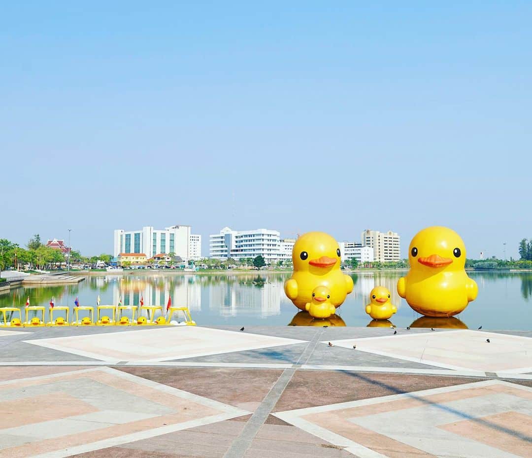 タイ国政府観光庁さんのインスタグラム写真 - (タイ国政府観光庁Instagram)「ウドーンターニー県の「ノーンプラジャック公園」からおはようございます☀️﻿ ﻿ 今週も1週間がんばりましょう😊﻿ ﻿ 「ノーンプラジャック公園」は、ウドーンターニーの中心街にある市民の憩いの場。人工湖には、巨大なアヒルの家族が浮かんでいてSNSで話題です🐥﻿ ﻿ #今週も頑張ろう #タイ #ウドーンターニー #ノンブラジャック公園 #公園 #アヒル #黄色いアヒル #湖 #こんなタイ知らなかった #タイを知りつくす #タイ旅行 #旅好きな人と繋がりたい #旅行好きな人と繋がりたい #海外旅行 #thailand #udonthan #nongprajakpark #park #duck #yellowduck #amazingthailand #thailandtravel #thailandtrip #thai #thaistagram #lovethailand #genic_thailand」7月22日 7時55分 - amazingthailandjp