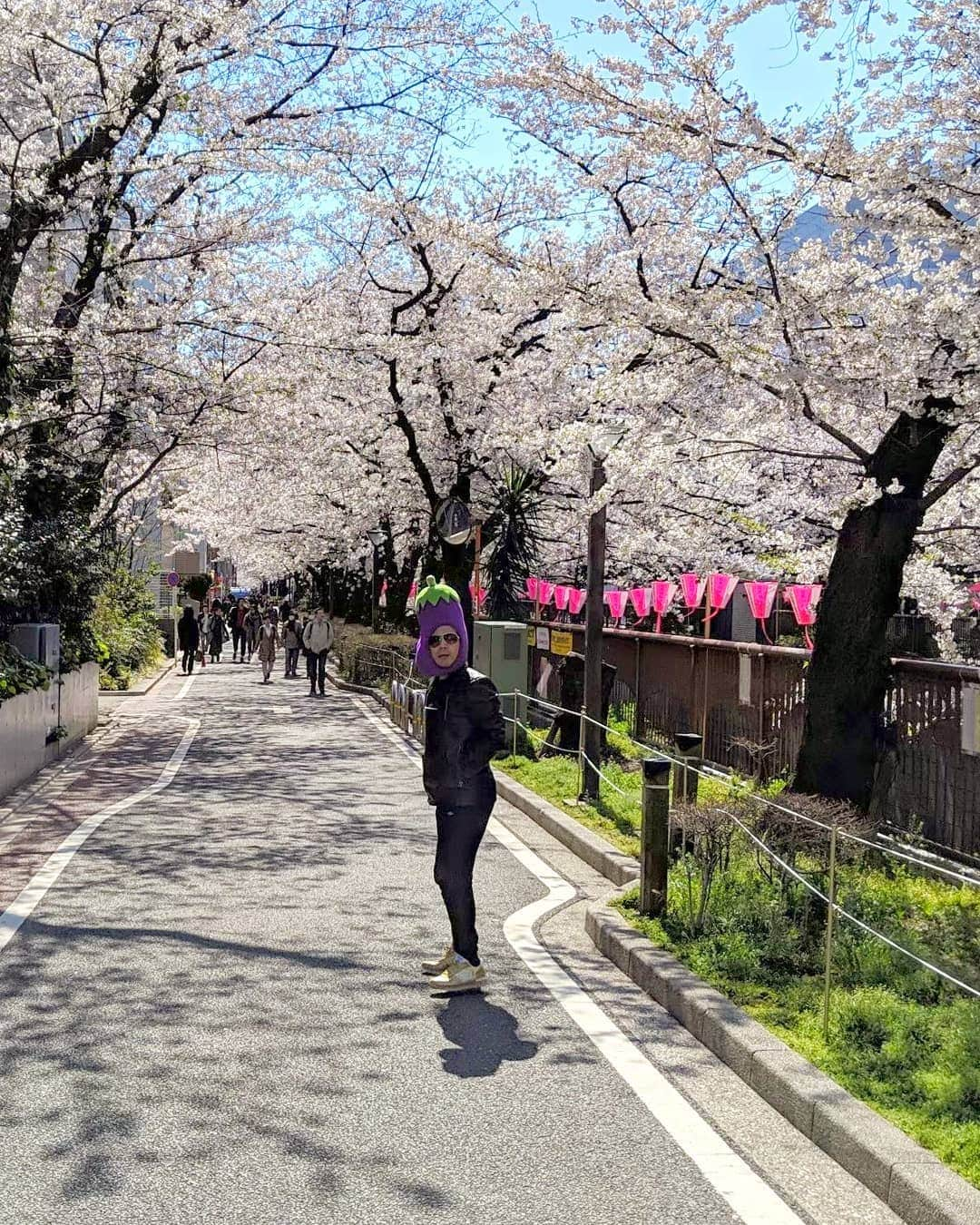 川原克己 さんのインスタグラム写真 - (川原克己 Instagram)「まだ光の頃 『花見いつまですんねん！』とつっこんだ笑顔が素敵だったので まだあるか探したら１枚あったでな ラスト #戻り桜 #１号くんへ #しつこい桜でフォロワー1000人くらい減った #削減桜 #感慨深いラストになるんかい」7月22日 8時14分 - tenjikunezumikawahara