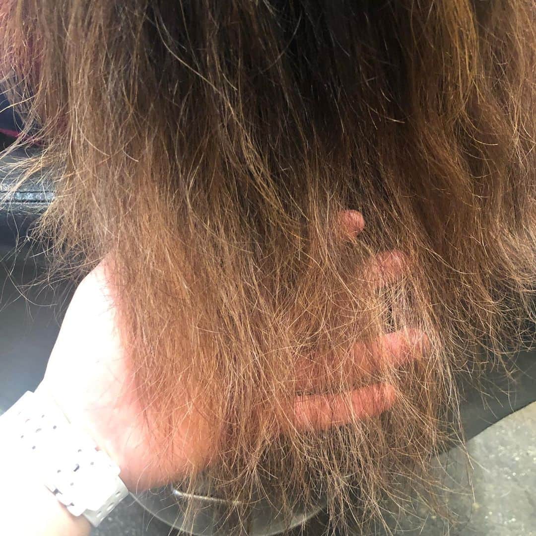 チダヨシヒロさんのインスタグラム写真 - (チダヨシヒロInstagram)「インナーカラー部分のブリーチに何故か切れ毛・・・！？！？😭﻿ 毛先部分の広がりがあったので、そこをなるべく綺麗に出来るような薬剤設定で丁寧に塗り分けていきました✨﻿ ブリーチ毛でもなんとか綺麗にできる範囲で最大限の効果を😍﻿ ﻿ 【こんなお悩みをお持ちの方はぜひご連絡ください😊】﻿ ✂︎髪をキレイに改善していきたい✨﻿ ✂︎『髪の毛キレイだね』って褒められたい✨﻿ ✂︎美容室でトリートメントをしても、いつもすぐ落ちてしまう😭﻿ ✂︎ものすごくキレイな縮毛矯正をしてみたい✨ ﻿ ✂︎アホ毛・毛羽立ちを抑えたい😭﻿ ✂︎ツヤのある髪にしたい✨﻿ ✂︎ダメージが気になる😭﻿ ﻿ なんでもご相談ください⭐️﻿ ﻿ インスタグラムを見て髪質改善や美髪縮毛矯正で ご来店される方が都外からもかなり増えてきております😊 気になる方はこちらの僕の美髪シリーズもご覧下さい✨﻿ ↓↓↓ 『 #チダヨシヒロの髪質美人 』 ﻿ ﻿ 【予約空き状況】﻿ 7/24 19:00﻿ 7/25 満席﻿ 7/26 満席﻿ 7/27 17:00﻿ 7/28 お休み﻿ 7/31 10:00﻿ 8/1 10:00以降﻿ 8/2 12:00 17:30﻿ 8/3 満席﻿ 8/4満席﻿ 8/7 10:00以降﻿ 8/8 12:00﻿ 8/9 10:00以降﻿ 8/10 12:00﻿ 8/11 10:00﻿ ﻿ ご予約・ご相談はトップURLにあるLINE@からかDM、またはネット予約よりご連絡くださいね✨﻿ ﻿ 【オンラインカウンセリング実地中】﻿ 無料でオンラインカウンセリングを実施しておりますので髪のお悩みやご相談などがありましたらDMまたプロフィールURLからのLINE@より24時間365日受付ております😆﻿ ﻿ 髪にお悩みの方を1人でも多く綺麗になって欲しいという僕の気持ちの表れです🙇﻿ ﻿ 【メニュー】﻿ カット¥7000 髪質改善002¥10000（カラー・縮毛矯正・パーマと併用すれば¥5000） 美髪カラー¥7000〜 美髪縮毛矯正¥20000〜﻿ カットをされない方はシャンプー・ブロー代¥3000頂きます🙇﻿ メニューも沢山ご用意ありますので、料金と合わせて、プロフィールのURLからご確認ください😊﻿ ﻿ 完全予約マンツーマン制のヘアサロン﻿ 【メルリヘアリビング】﻿ 📮東京都世田谷区用賀3-6-15細井ビル1F﻿ ﻿ ﻿ #縮毛矯正﻿ #髪質改善トリートメント﻿ #縮毛矯正失敗﻿ #自然な縮毛矯正﻿ #縮毛矯正ボブ﻿ #髪質改善ストレート﻿ #髪質改善縮毛矯正﻿ #髪質改善カラー﻿ #縮毛矯正東京﻿ #縮毛矯正専門店﻿ #美髪になりたい﻿ #キレイな髪﻿ #綺麗な髪﻿ #髪の毛サラサラ﻿ #髪をきれいにする美容室﻿ #髪質改善﻿ #ヘアケア﻿ #くせ毛﻿ #毛髪改善﻿ #ダメージ改善﻿ #縮毛矯正上手い﻿ #枝毛﻿ #切れ毛﻿ #アホ毛﻿ #ヘアケア美容師﻿ #扱いやすい髪﻿ #髪の悩み﻿ #髪を綺麗にしたい﻿ #ビビり毛修繕」7月22日 8時14分 - chibow