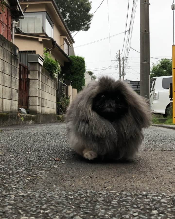 宮田和弥のインスタグラム