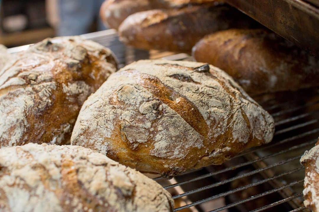 笹塚駅のパン屋さん オパンのグルメインスタ