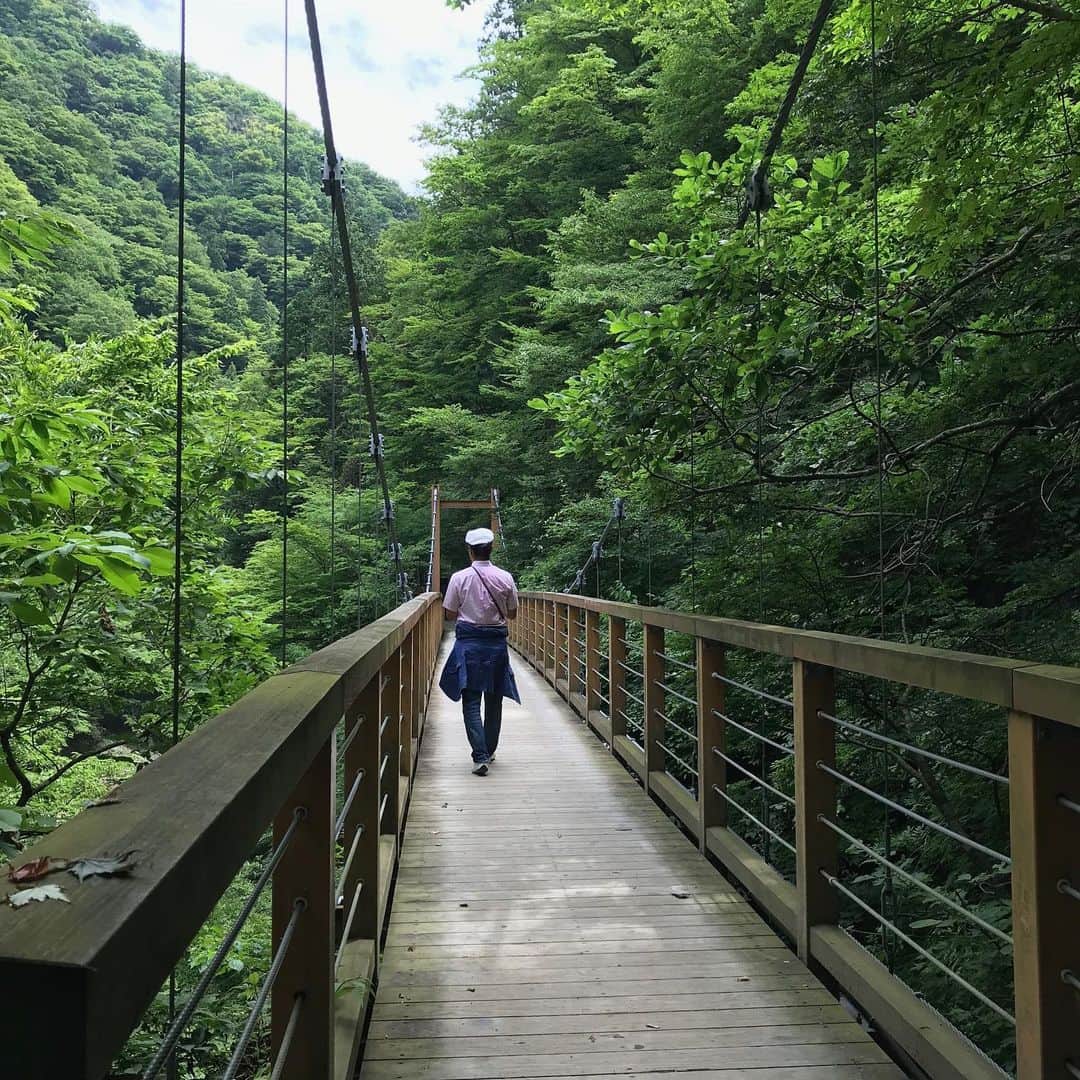 間々田佳子さんのインスタグラム写真 - (間々田佳子Instagram)「#自然からパワーをいただく 小鳥のさえずり 風の音 ステキなところでした！😊✨ #nature #秋田自然 #抱返り渓谷 #自分リセット #神社好きな人と繋がりたい  #抱返神社」7月22日 8時46分 - yoshiko.mamada