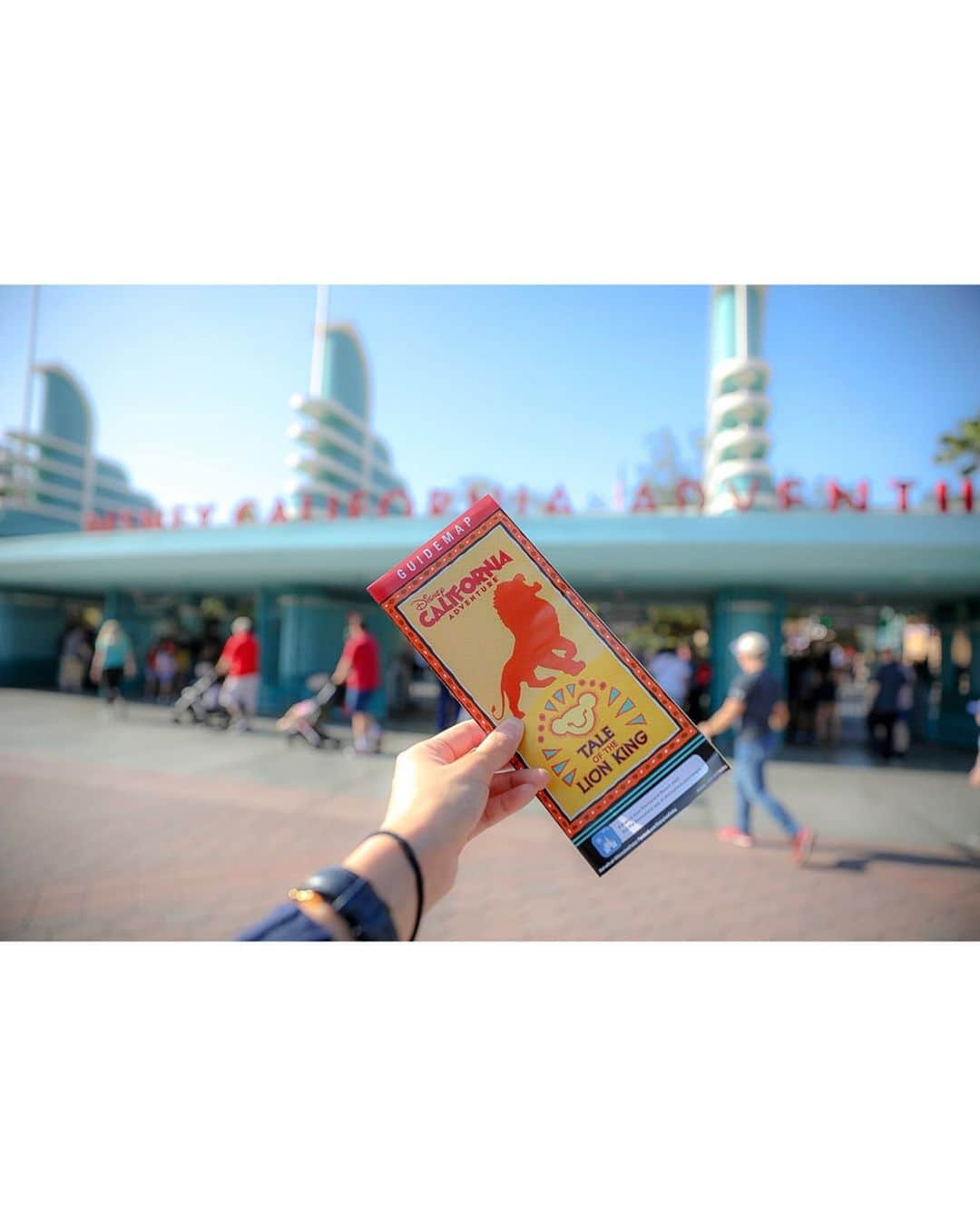 朝風れいさんのインスタグラム写真 - (朝風れいInstagram)「California Adventure🌴🎡🌴 ・ ・ ・ アナハイムのディズニーにはふたつのパークがあって、Disneylandと、もうひとつが、このCalifornia  Adventure Park！ ・ ・ ①②③④日本ではSeaにある、ストーリーテラーズ像が、ここにあります。若き日のウォルトとミッキー✨ ・ ⑤パーク入り口で…📷 実写版の映画に合わせてなのか、ライオンキングのアトモスフィアが熱いらしいく、パンフレットはライオンキング😍 ・ ⑥この景色が一番好き。ここに来たー！！って気持ちになる😍 日本では見られない景色ですね*ˊᵕˋ* ・ ⑦3年半前に来た時までは〝PARADISE PIER〟というエリアだったのですが、〝 PIXAR PIER〟に名前も中身もリニューアルしてました✨ Pixar映画の前後で、ジャンプしながら出てくる、〝i〟を潰すライト君がアーチのセンターにいるのが私のツボでした🤣 ・ ⑧日本では明日から？ソアリンという新アトラクションがオープンしますが、カリフォルニアアドベンチャーにもあるよー✈︎✨気持ちよくて大好きなアトラクション❤️ ・ ⑨⑩タワーオブテラーが、すっかり様変わりしてました。内装外装は生かしつつ、映画〝GUARDIANS OF THE GALAXY〟のアトラクションに… あの、アライグマ🦝が出て来る映画w このアトラクションがめちゃくちゃ楽しくて、４回は乗ったかな😂 ・ ・ MARVELもディズニー傘下になり、マーベルエリアが工事中🚧 何だか、正直違和感があります🙄 だって、スパイダーマンがパークにいるんだもん…🤔 文句言いつつ、実際出来上がったら、アトラクションとかも派手そうだし、楽しんじゃうんだろうけどwww ・ ・ ・ ちょっと一気に写真載せすぎて、長文になり失礼しました。 さて、月曜日！！ 一週間頑張りましょー✨（๑⃙⃘ˊ꒳​ˋ๑⃙⃘） ・ ・ ・  #anaheim #california #la #losangeles #anaheimdisney #disneylandcalifornia #disneyland #magickingdom #californiaadventure #アナハイム #カリフォルニア #ディズニーランド #アナハイムディズニー #カリフォルニアアドベンチャー #ilovedisney #disneygram#disneyinsta #canon #eos5dmarkiv #eos5dmark4  #ディズニーカメラ隊」7月22日 9時41分 - rei.wd