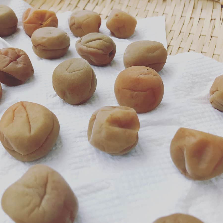 のインスタグラム：「今年の子供達  #夏の土用 #梅仕事 #土用干し #梅 #梅干し #もう少しで完成 #気象予報士 #神田昭一」