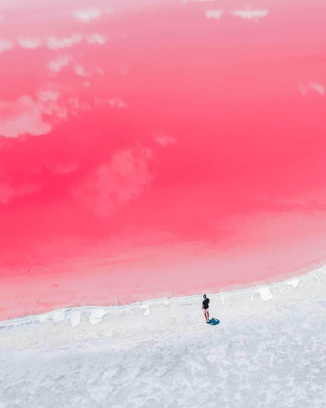 Australiaさんのインスタグラム写真 - (AustraliaInstagram)「@australias_southwest’s (strawberry) milkshake really brings all the boys to the yard! 🥤 @sailor.jay made a pit stop at one of the pink lakes in #Cranbrook along the #GreatSouthernHighway to admire the vibrant colour of the water. You’ll come across quite a few pink lakes in this part of @westernaustralia; go on a road trip to #Pingrup and you’ll see some along Chester Pass Road, and if you drive on towards #Albany you’ll also get a bonus view of the impressive Stirling Ranges on the horizon.  #seeaustralia #justanotherdayinwa #australiassouthwest #pinklake #thegreatoutdoors #travel」7月22日 20時00分 - australia