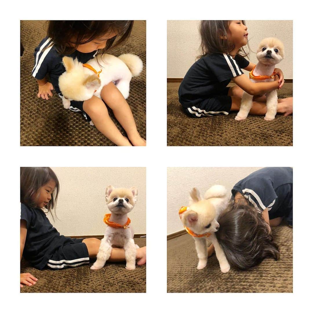 小泉梓のインスタグラム