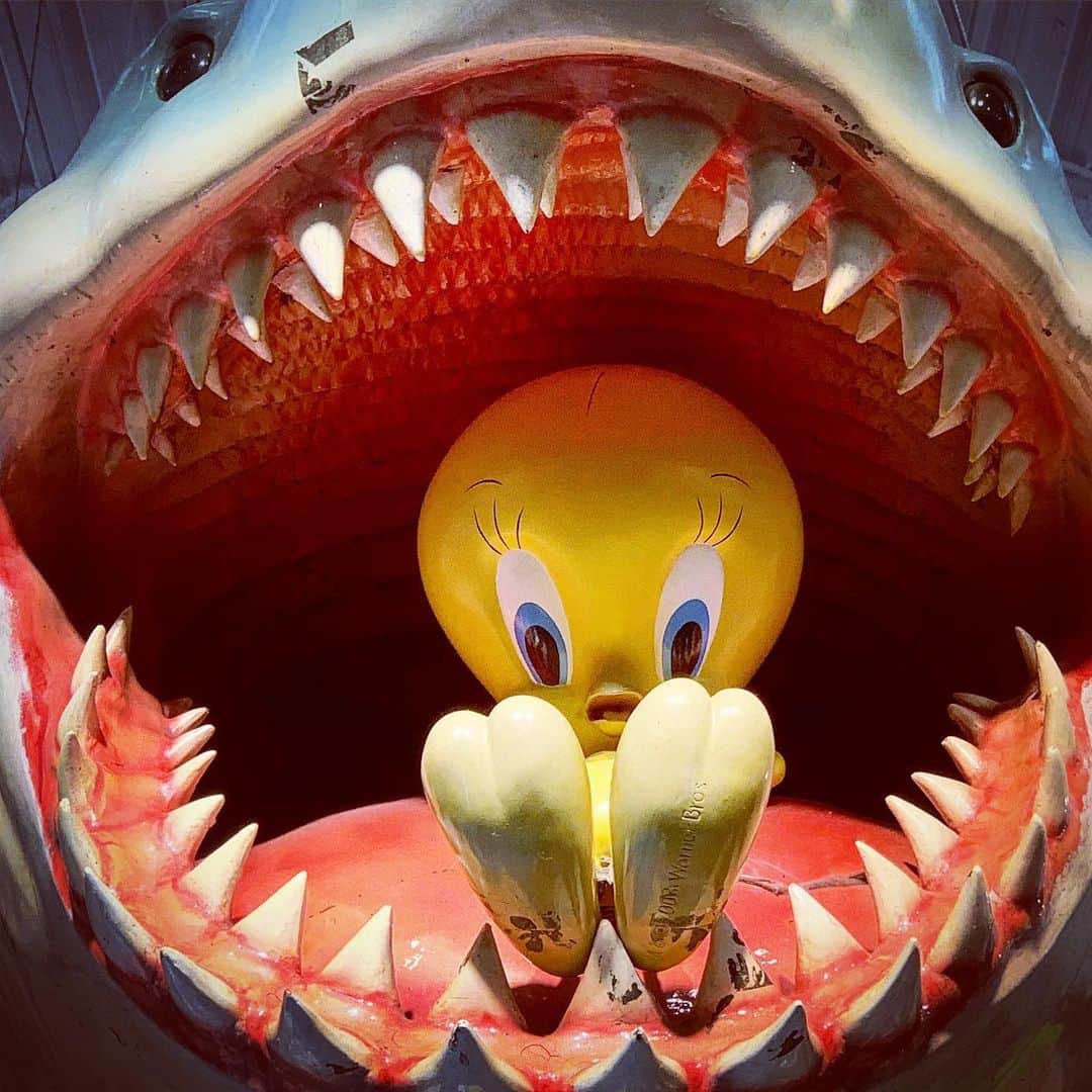 YOICHIのインスタグラム：「。。。 #サメ #鮫 #トゥイーティー #ヒヨコ🐥 #🦈 #仲良し #沖縄 #国際通り #ワーナー #tweety #warnerbros」