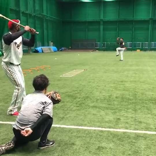 阪神タイガースのインスタグラム