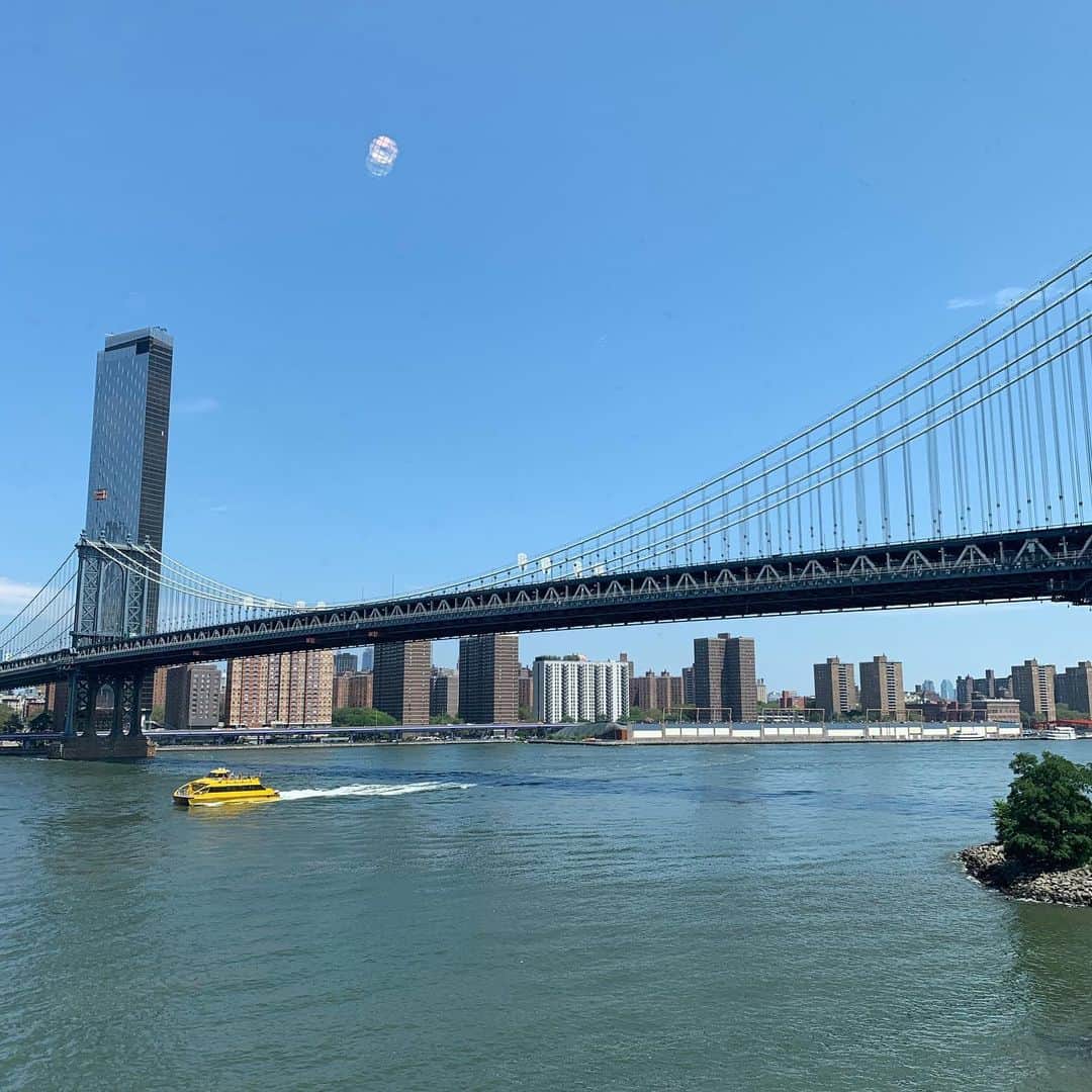 クリス智子さんのインスタグラム写真 - (クリス智子Instagram)「朝から、ブルックリン、ダンボ(DUMBO)地区へ。  DUMBO って、かわいい響きだなぁ、と思っていたら、Down Under the Manhattan Bridge Overpass、のことなんですね。  その昔は、橋を作るための船着場だったり、貧困層の住宅街があったんだそうですが、70年代に空洞化し、いわゆる再開発で、倉庫街が変化。 今年5月に新しくオープンしたばかりの、Time Out Market に行きました。  前の投稿写真は、その二階の絶景スポット！今回、ブルックリンに住む友人、上野朝子さん @uenoasako が、あちこち案内してくれ、ありがたい👏 12時オープンと同時に入り、あの席をスムーズに。さすがでした！すぐに、店は満席に。  DUMBO地区からは、ブルックリンブリッジとマンハッタンブリッジが見え、両橋の間には、緑あり。こんな 100年近くたつアンティークなメリーゴーランドが、回っています。古いメリーゴーランドは大好きで、このロケーションにあるとは！ガラスケースの中におさまっているCarousel、素敵でした 😌✳︎ その名も、Jane's Carousel.（ミドルネームがJaneなので、個人的にはさらに親近感大）  背景もメリーゴーランドもスケールが大きいので、引きで撮りたかったのですが、冗談みたいな熱射に、下がるのを諦めた結果の写真（笑）。3枚を脳内再生プリーズ。気になる方は、他で検索してみてくださーい。  #Brooklyn #Timeoutmarket #Jane's #Carousel」7月22日 15時27分 - chris_tomoko