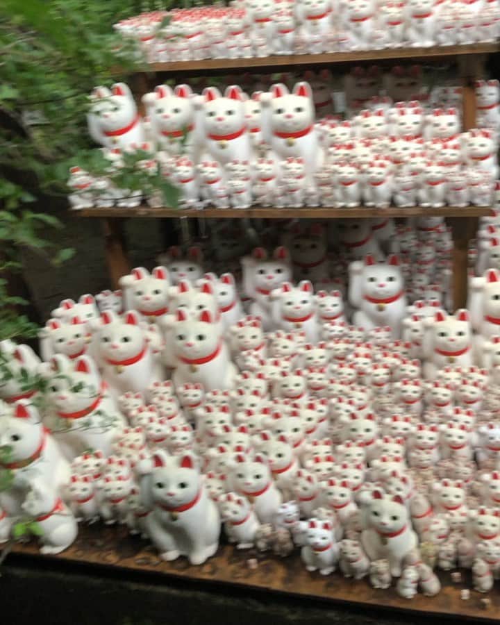 カイヤのインスタグラム